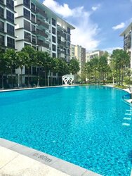 The Inflora (D17), Condominium #456946731